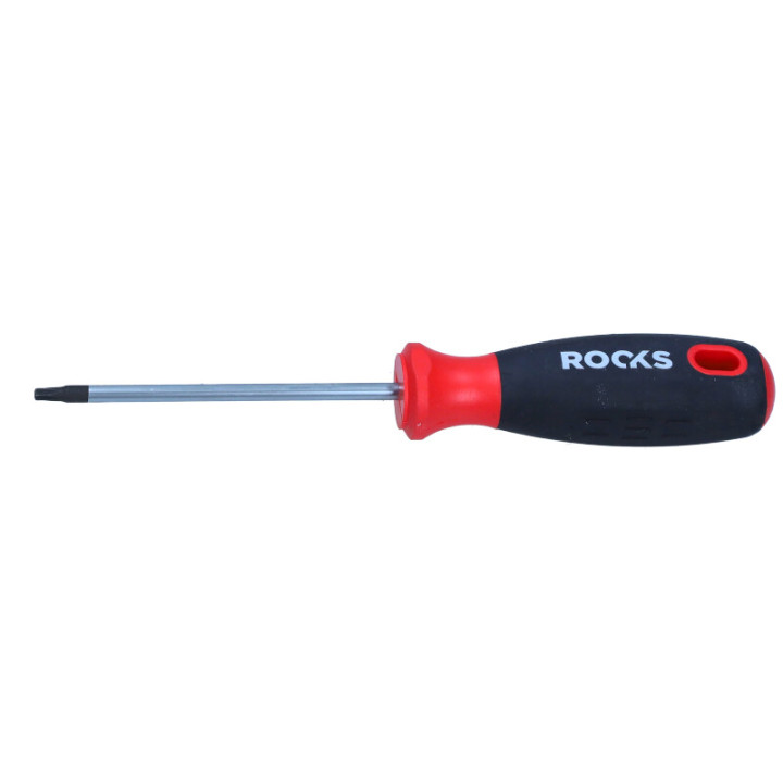 WKRĘTAK TORX T20X100 MM