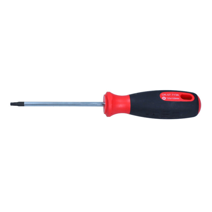 WKRĘTAK TORX T20X100 MM