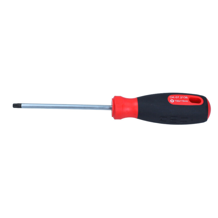 WKRĘTAK TORX SECUR. 30X100 MM