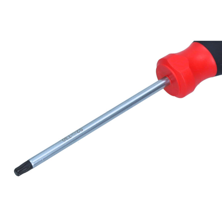 WKRĘTAK TORX SECUR. 30X100 MM