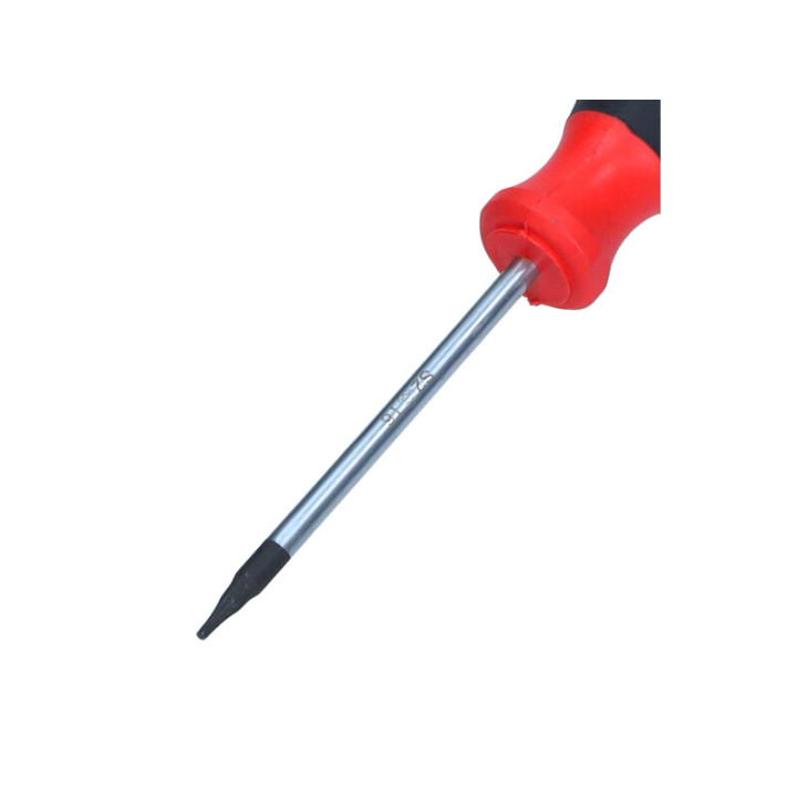 WKRĘTAK TORX 6X60 MM
