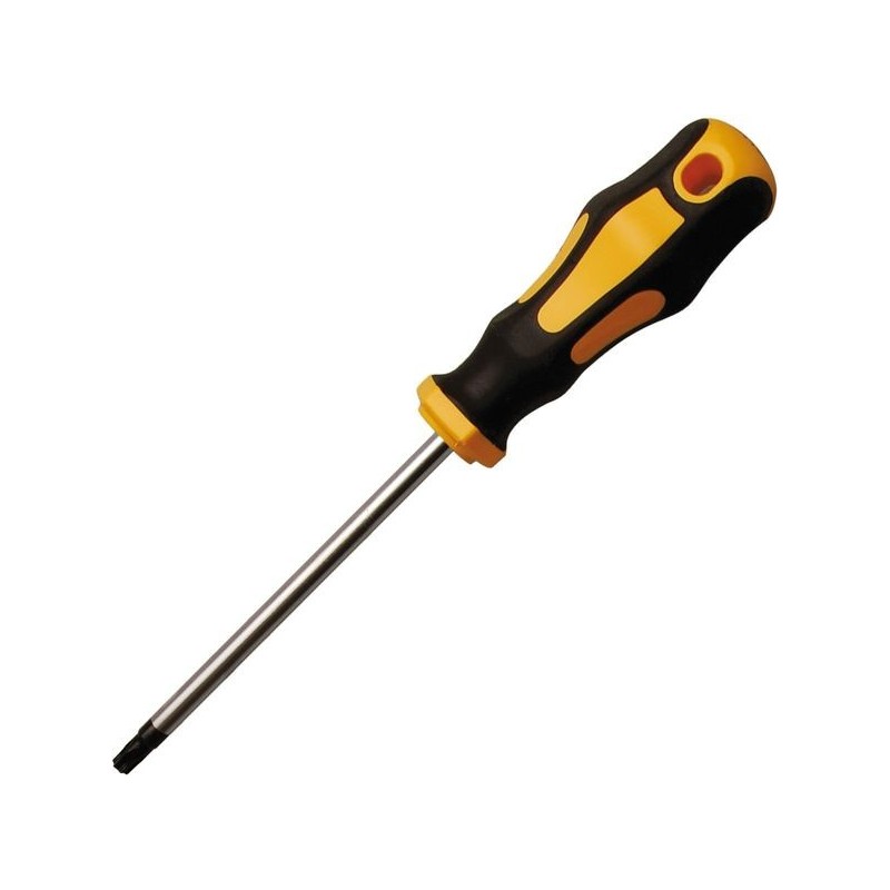 Torx screwdriver