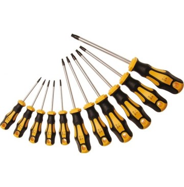 Torx screwdriver
