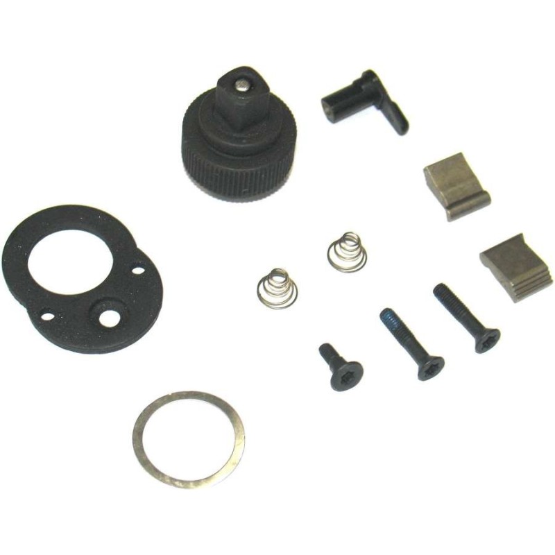 Repair set reversible ratchet