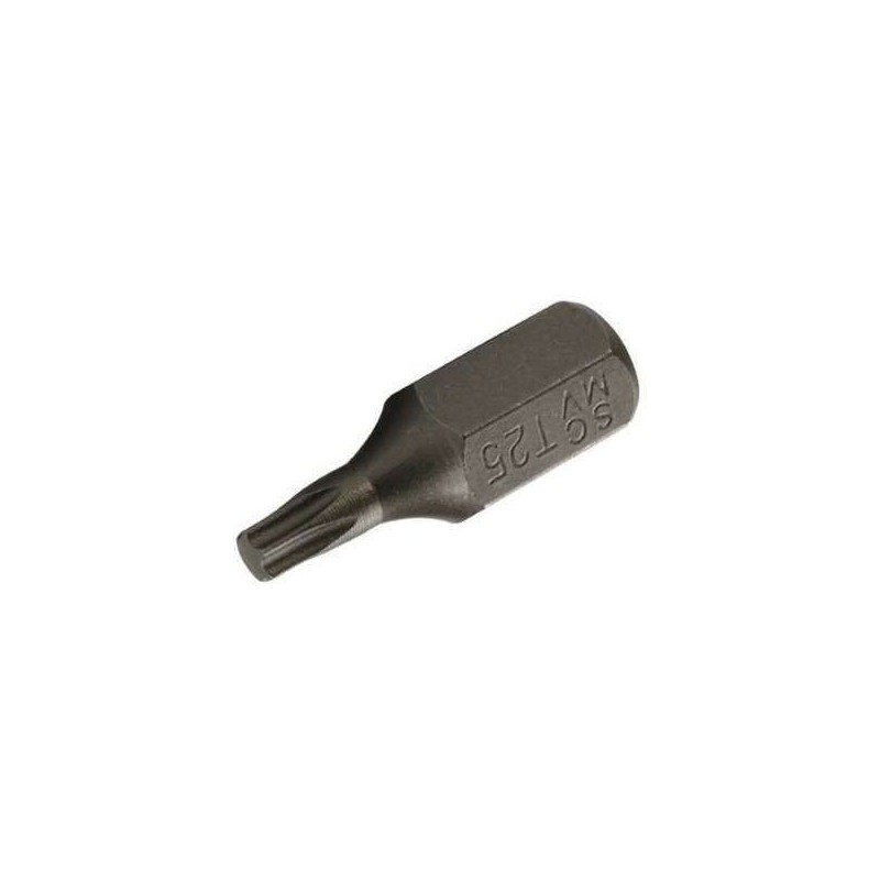 Bit 10 mm (3/8) torx t25x30 mm