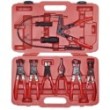 Pliers hose clamp