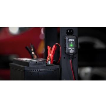 Prostownik automatyczny genius1 1a 6v / 12v