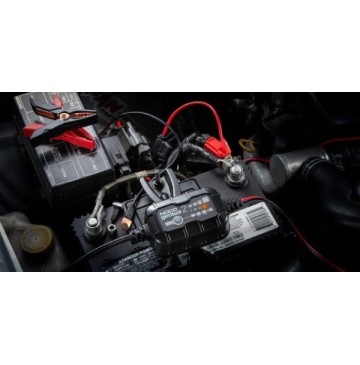 Prostownik automatyczny genius2 2a 6v / 12v