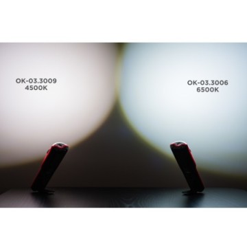 Worklight