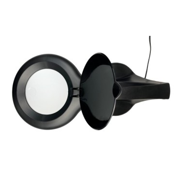 Magnifying glass