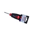 Torx screwdriver