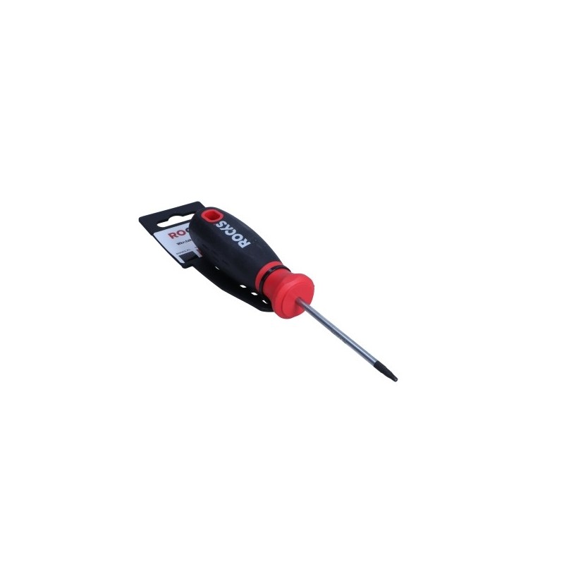 Torx screwdriver