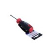 Torx screwdriver