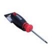 Torx screwdriver