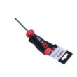 Torx screwdriver