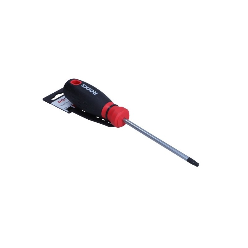 Torx screwdriver