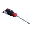 Torx screwdriver