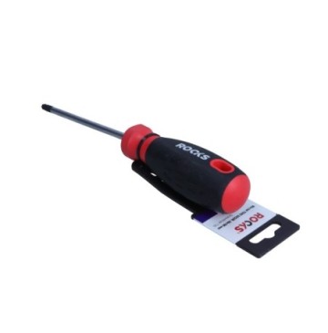 Torx screwdriver