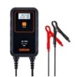 Inteligentny prostownik oebcs 906 6a 6v/12v