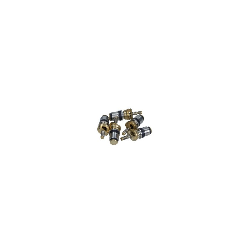 Zaworek volvo peugeot 20 x 7 mm (5szt)