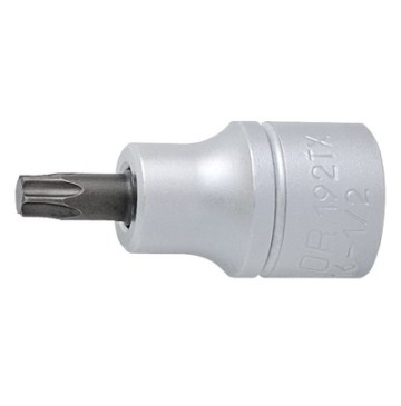 Socket spanner