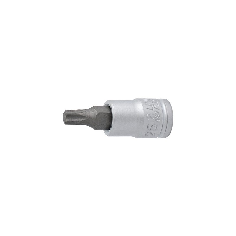 Socket spanner