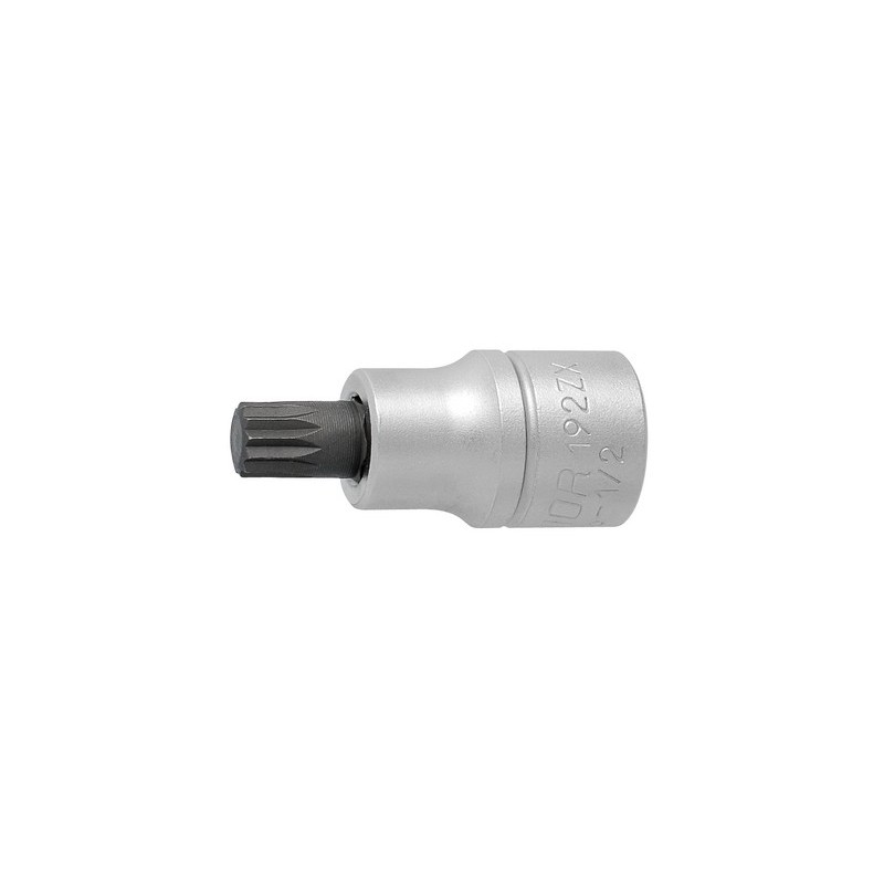 Socket spanner