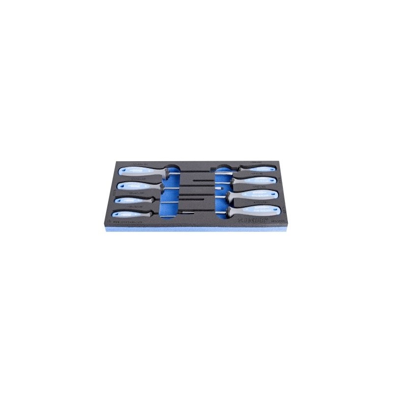 Insert with equipment for a workshop trolley