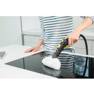 Steam cleaner