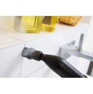 Steam cleaner
