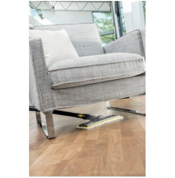 Steam cleaner
