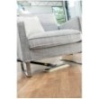 Steam cleaner