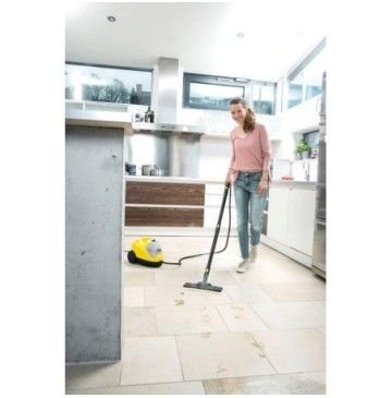 Steam cleaner