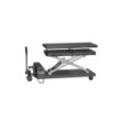 Podnośnik platformowy wp1500 nortec pro 1500kg