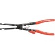 Pliers hose clamp