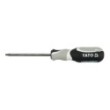 Torx screwdriver