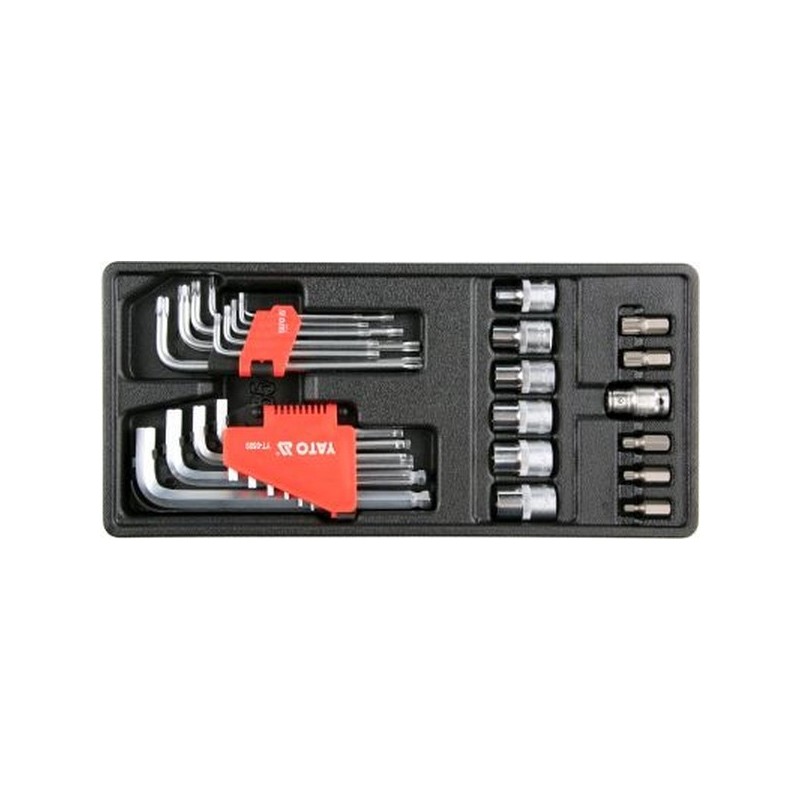 Wkład do szuflady nasadki hex torx 31cz