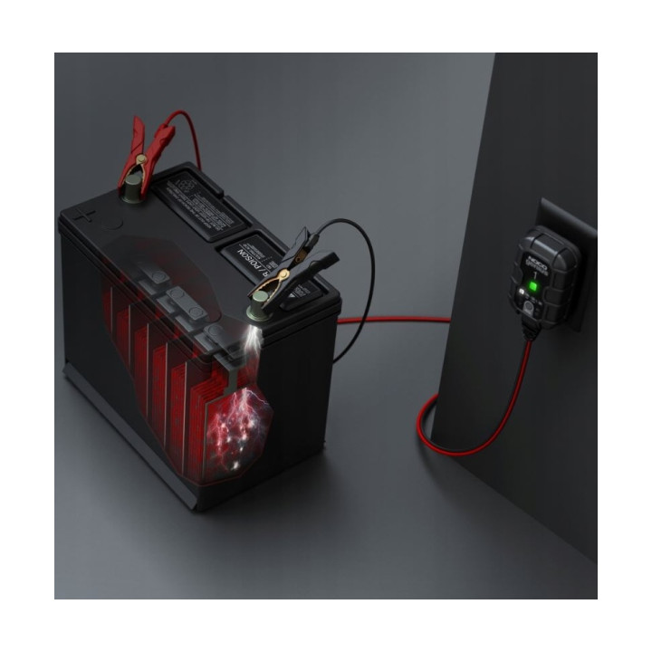 PROSTOWNIK AUTOMATYCZNY GENIUS1 1A 6V / 12V