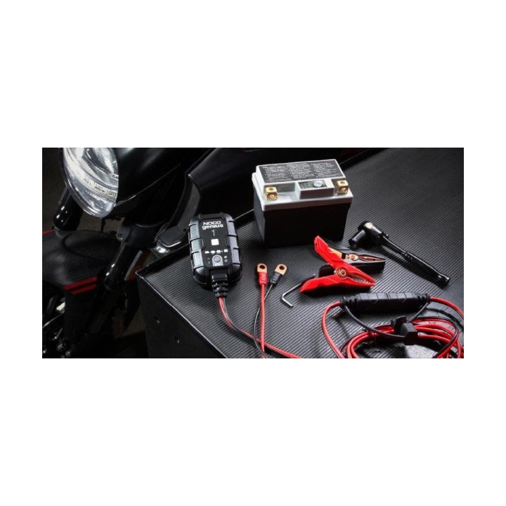 PROSTOWNIK AUTOMATYCZNY GENIUS1 1A 6V / 12V