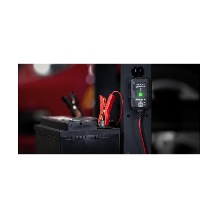 PROSTOWNIK AUTOMATYCZNY GENIUS1 1A 6V / 12V
