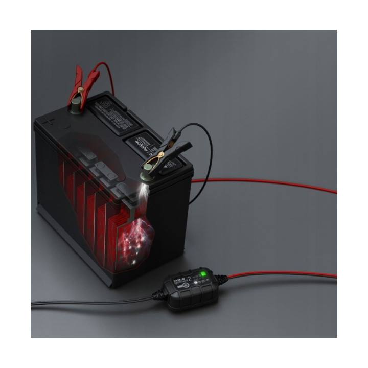 PROSTOWNIK AUTOMATYCZNY GENIUS2 2A 6V / 12V