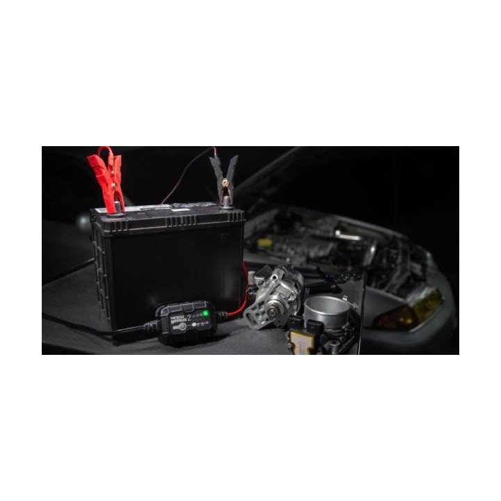 PROSTOWNIK AUTOMATYCZNY GENIUS2 2A 6V / 12V