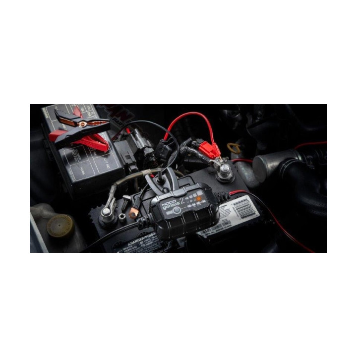 PROSTOWNIK AUTOMATYCZNY GENIUS2 2A 6V / 12V