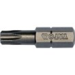 Bity 1/4 torx t27x25mm 10szt