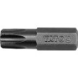 Screwdriver bit