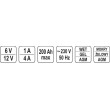 Prostownik elektroniczny 12/6v 1/4a 200ah