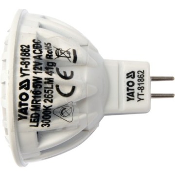 Bulb