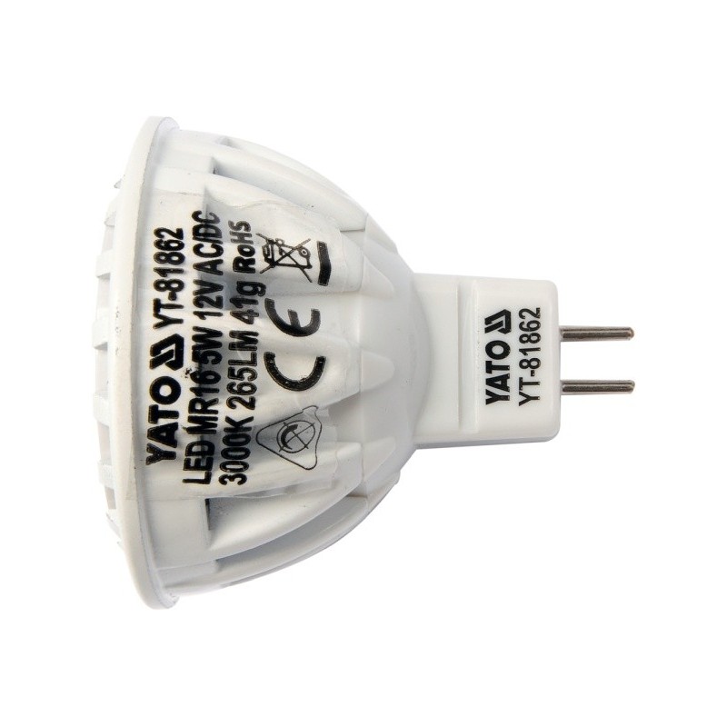 Bulb