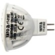 Bulb